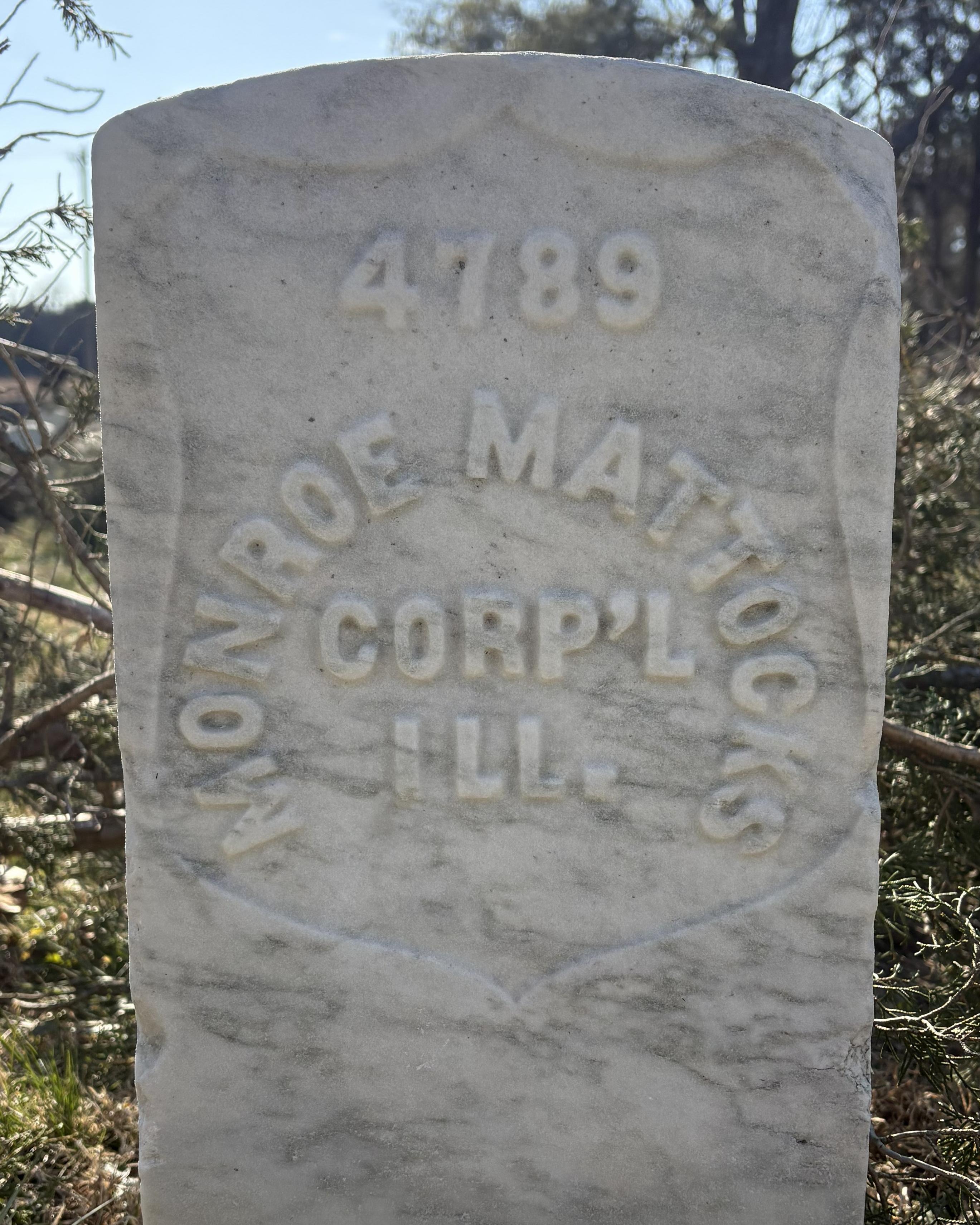 Marble headstone with branches behind it. 
