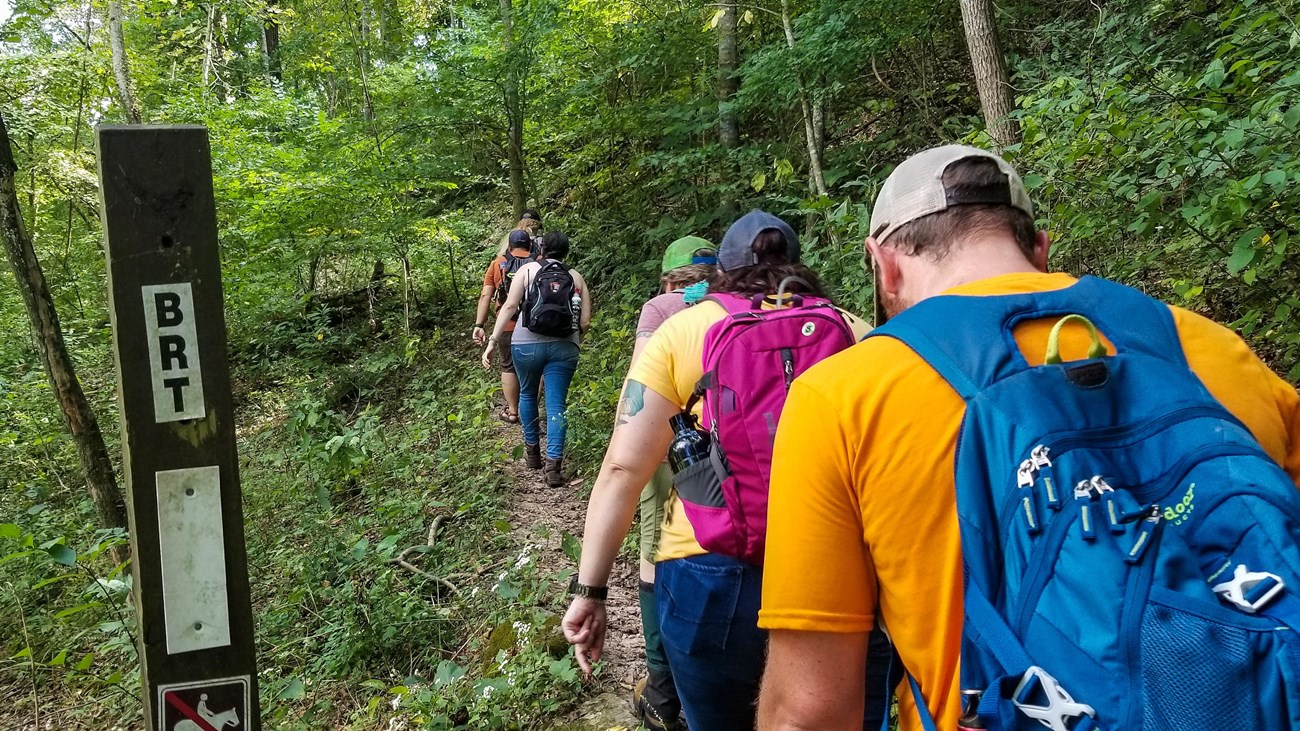 Buffalo River Trail at Steel Creek