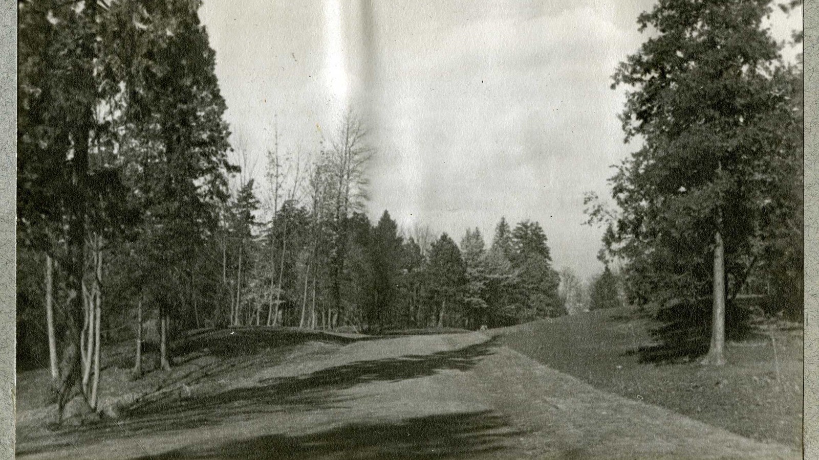 Black and white of road going up hill lined with grass and lots of trees