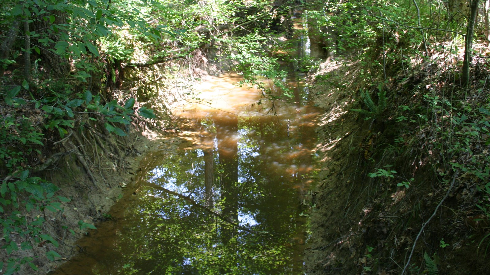 A 10\' wide ground trough filled with water.