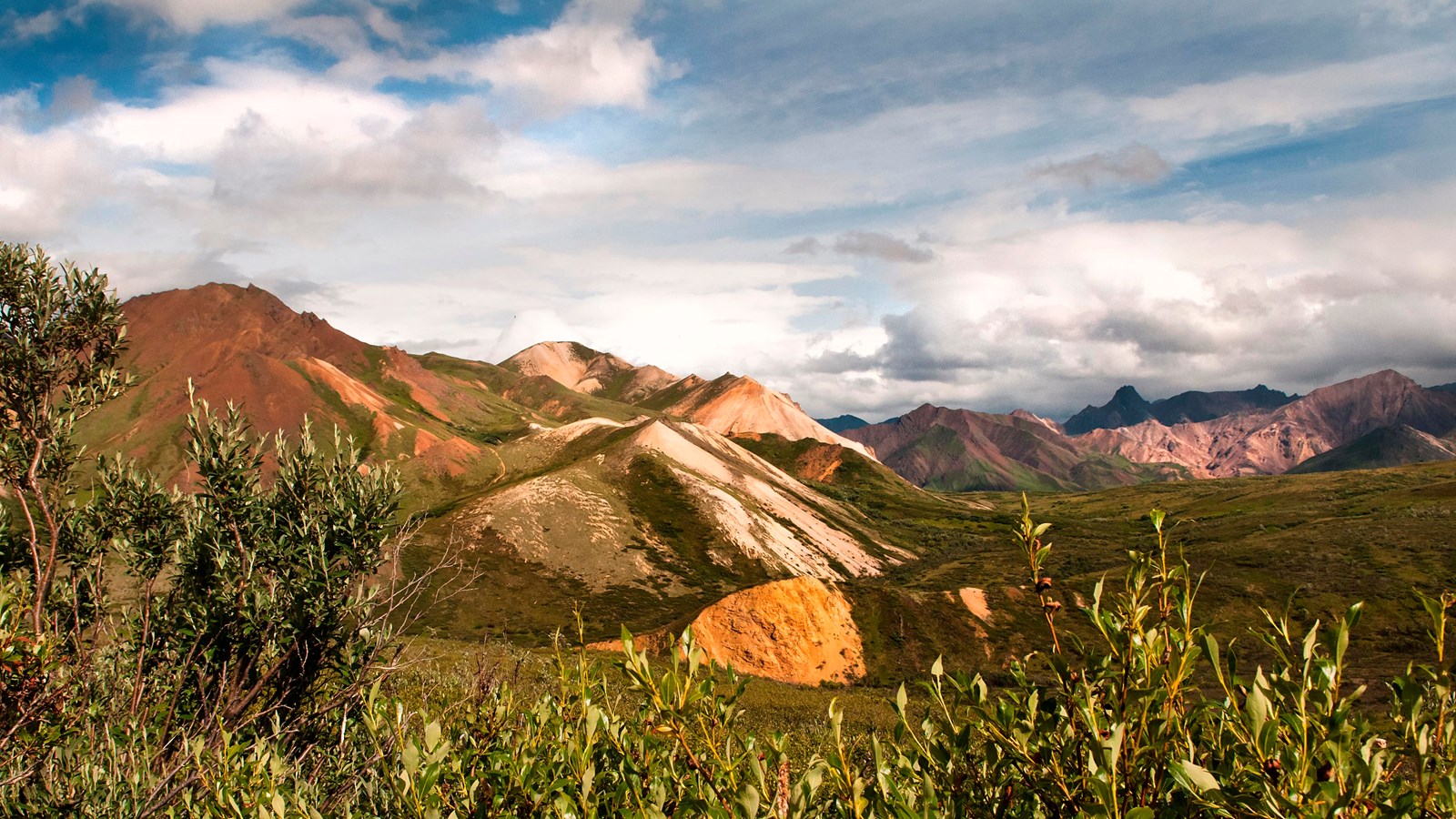 a landscape of shrubs and rocky hills 