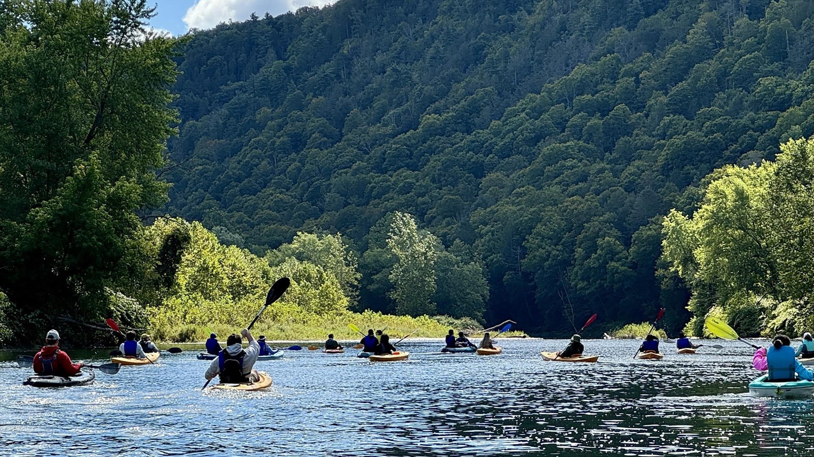 Kayakers paddling on a river with lush green trees and a forested hillside in the background.