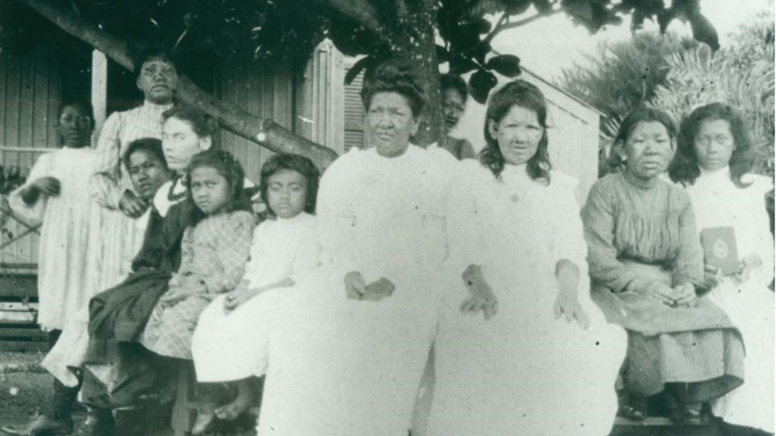 Historic photo of 10 women and posed for a picture outside sitting on a bench in front of a tree