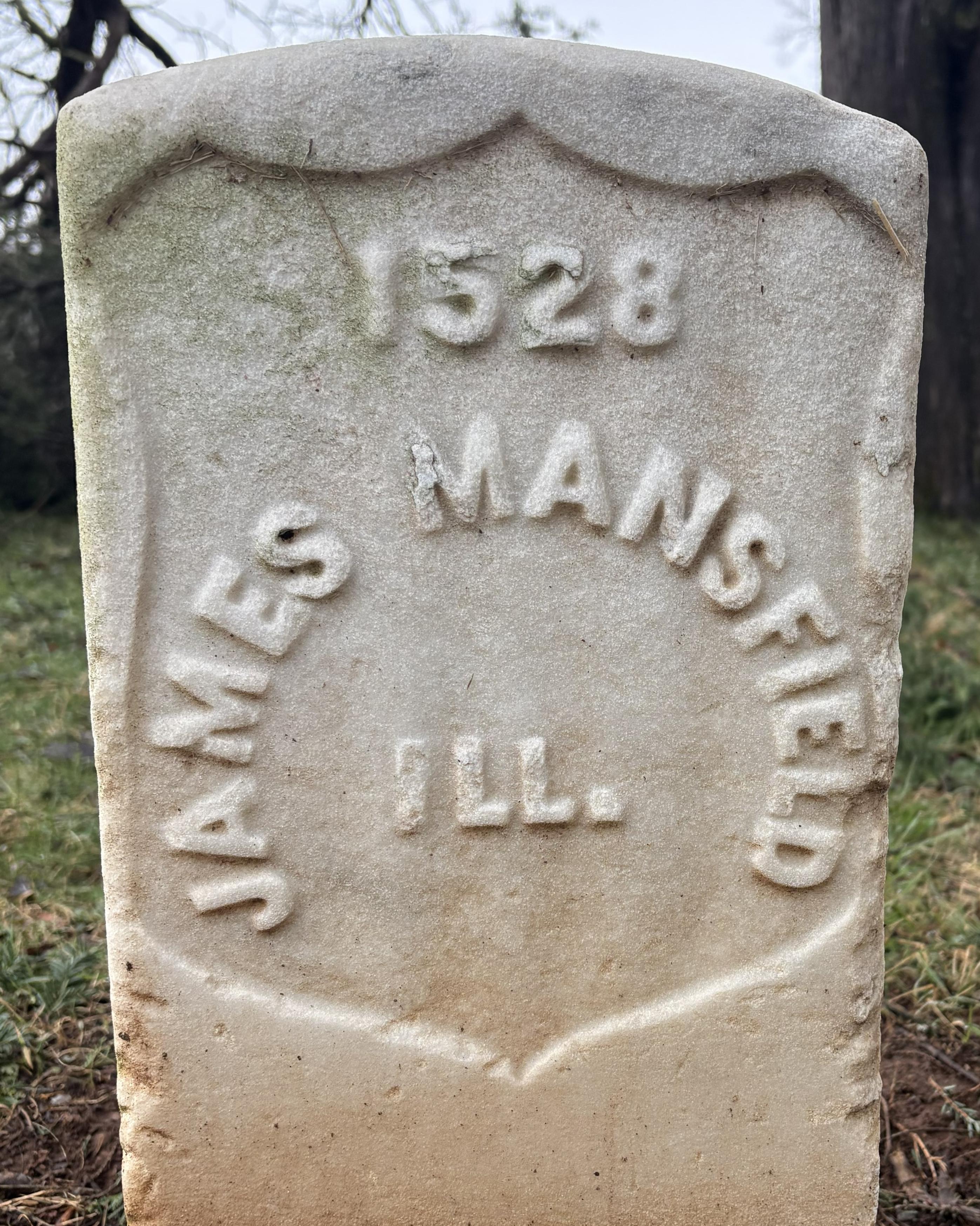 Marble headstone with a tree behind it.
