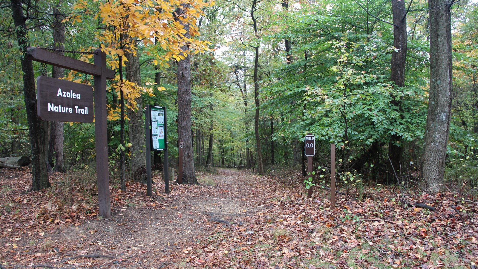 trail head with Azalea trail sign and trees