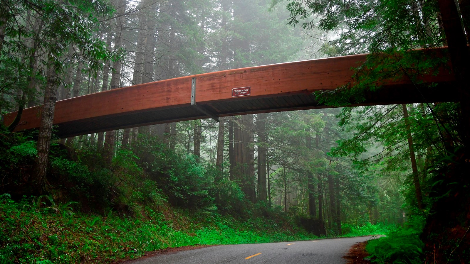 A brown wooden bridge crosses a road. Trees crowd the scene