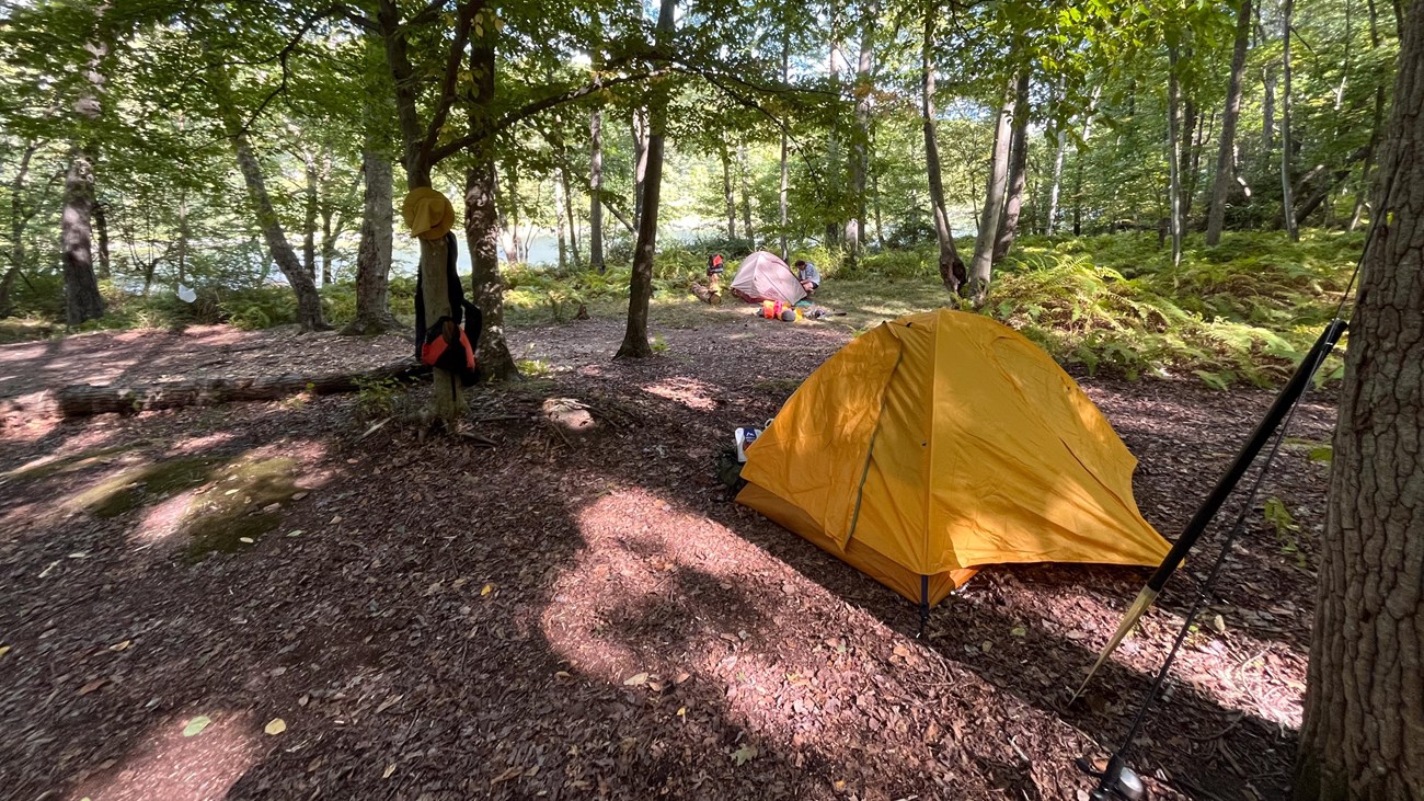 Forested camping area surrounded by trees with view of river. Yellow tent in foreground.