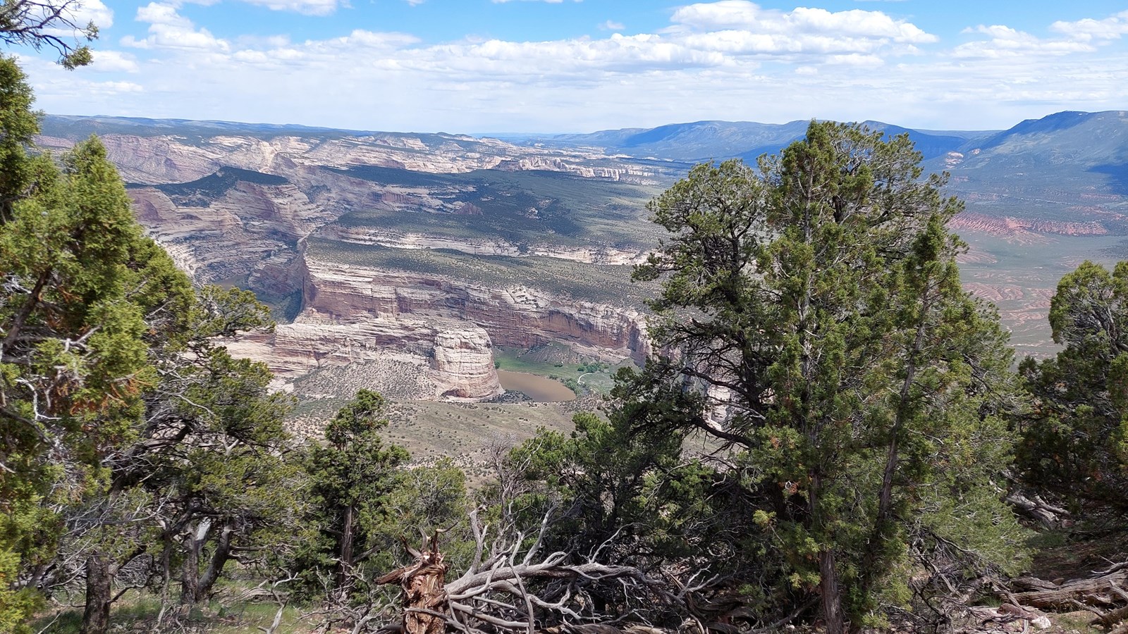 A forested overlook viewing sandstone cliffs in a canyon.