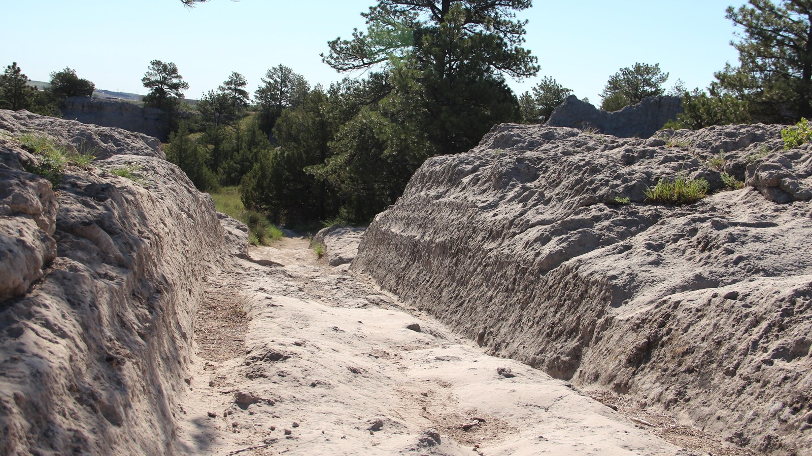 A channel carved in white and gray rock, in a landscape of grass and trees.