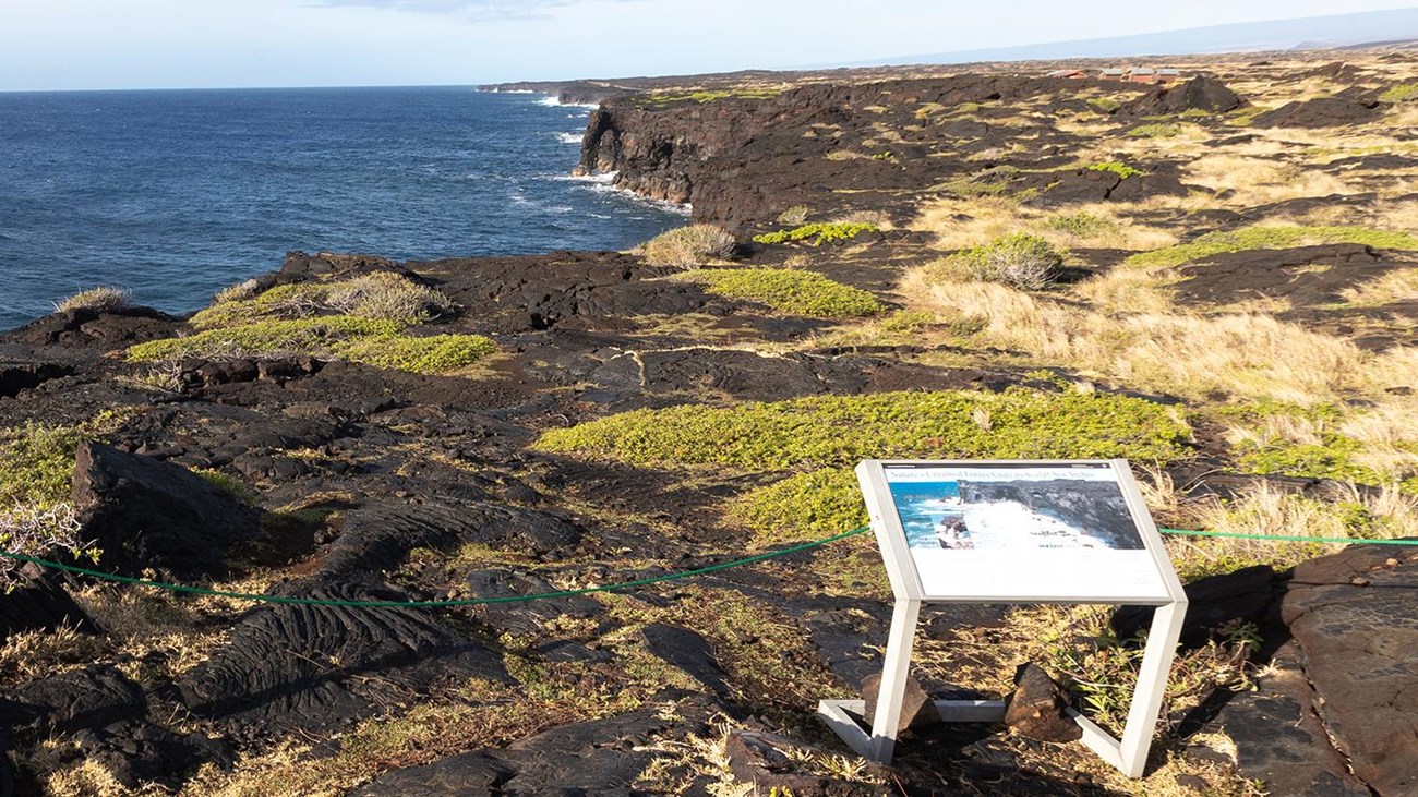 A viewpoint of dramatic sea cliffs with a wayside exhibit in the foreground