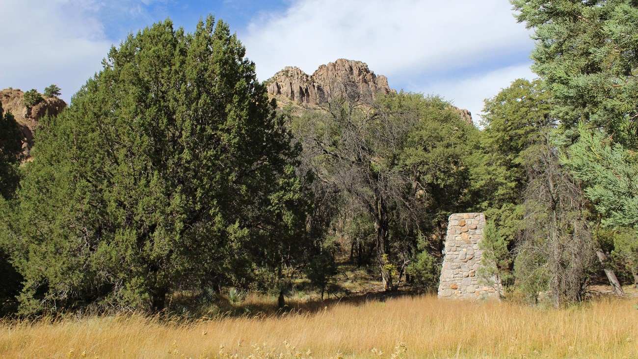 Meadow surrounded by trees and a stone chimney