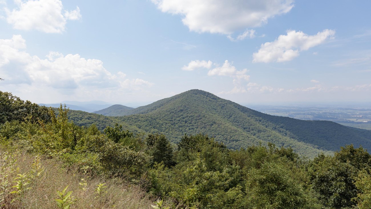 A mountain peak in the distance.