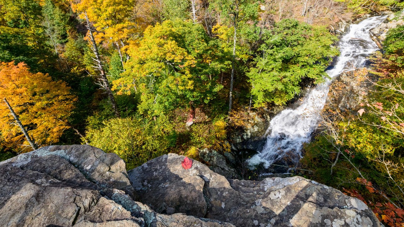 An overhead view of a waterfall running through green trees.