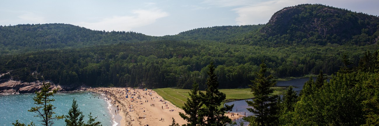 Sand beach with forest and mountains behind it