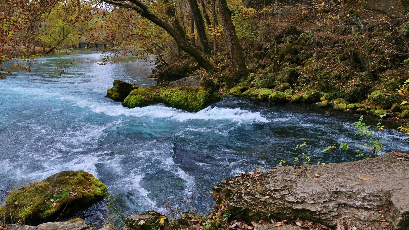 a blue spring pours out from a grey rock base, white caps on top of water, green moss and trees