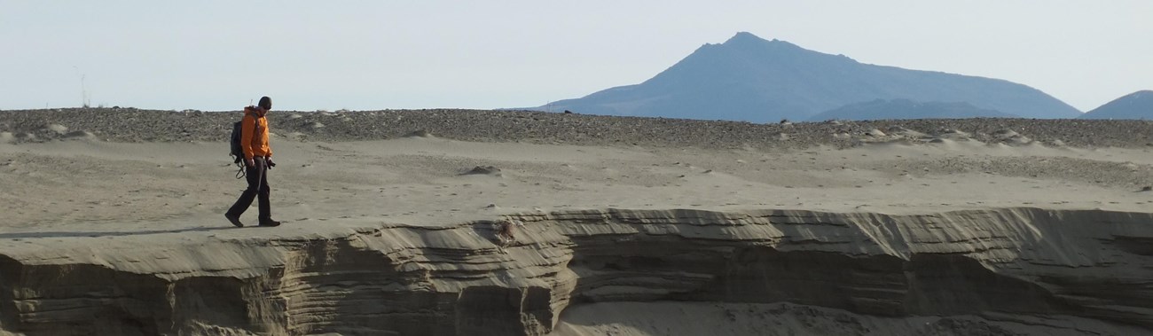 Hiker walking along the edge of a sand dune.