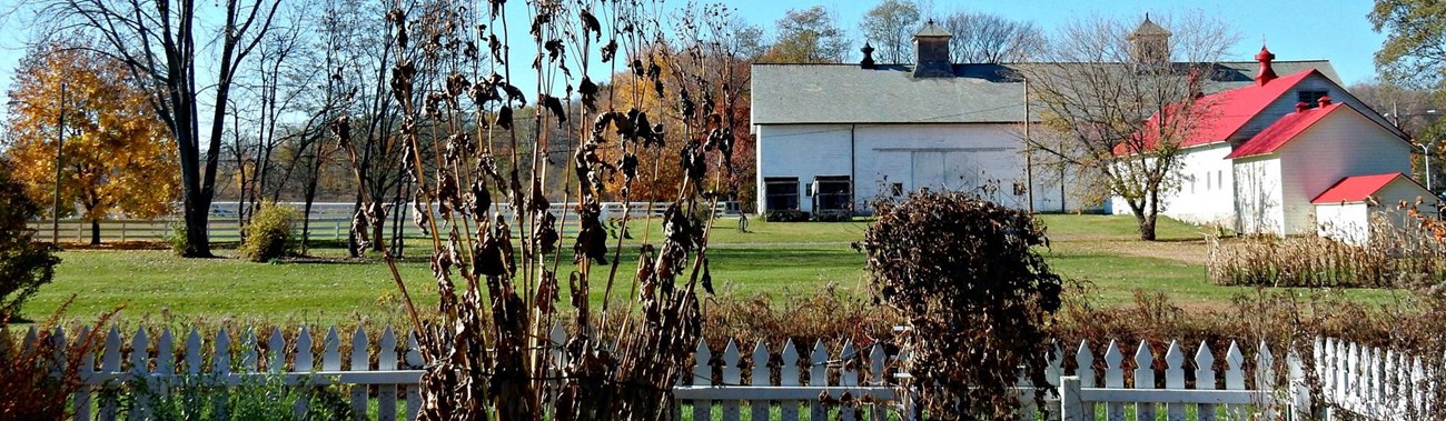 looking from a fenced in herb garden towards large white barns