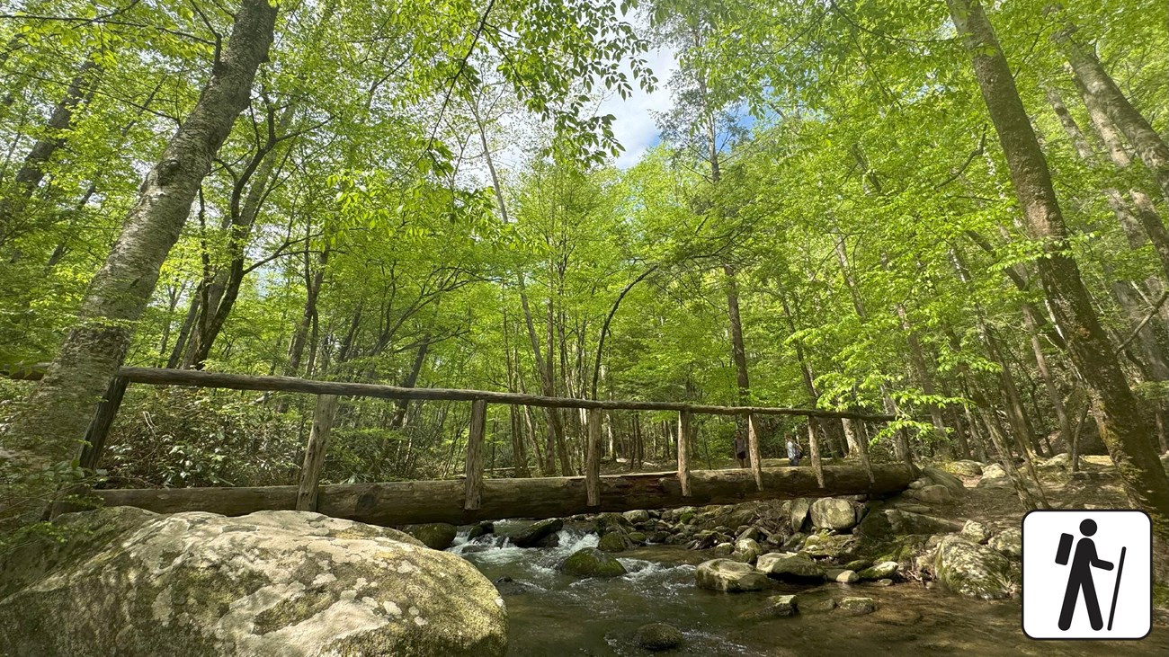 A bridge over a stream in the forest. Hiker icon in corner.