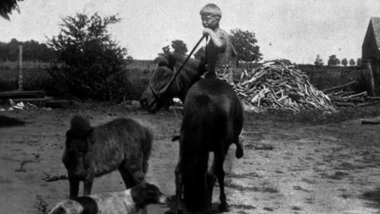 Young Jimmy Carter on his pony, Lady. Visible is a dog and a colt of Lady\'s named Lady Lee.
