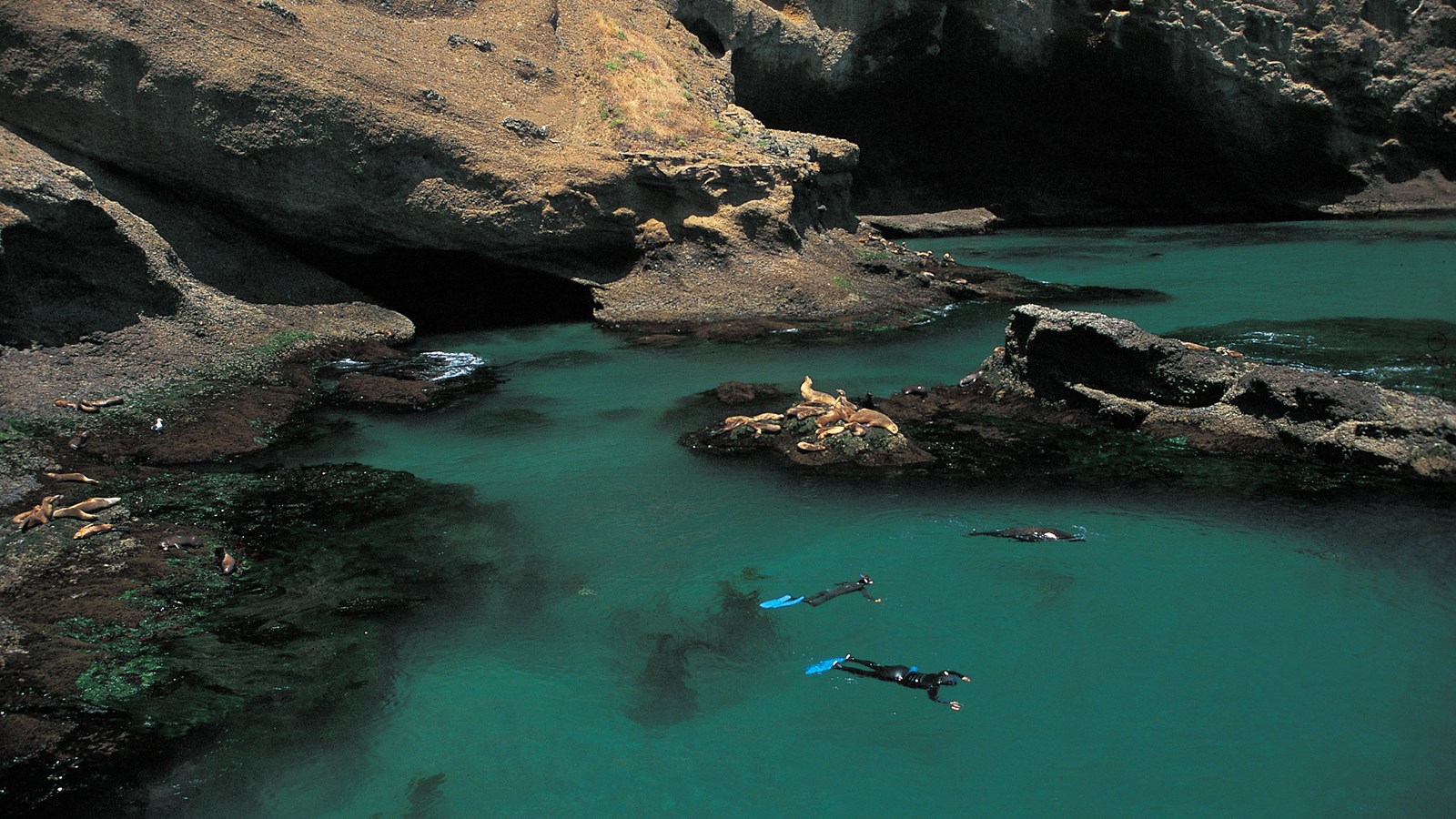 snorkelers in wetsuits with fins swimming in rocky cove.