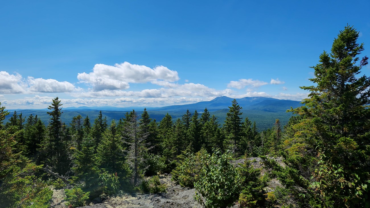 An expansive viewpoint from the top of a forested mountain. It is a sunny blue sky day.