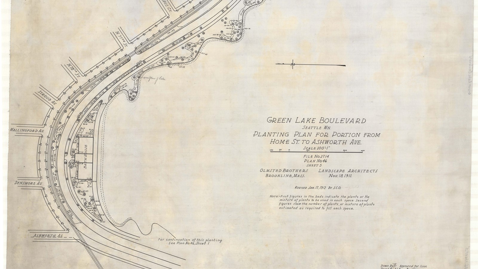 Pencil plan of curving road lined with trees on both sides