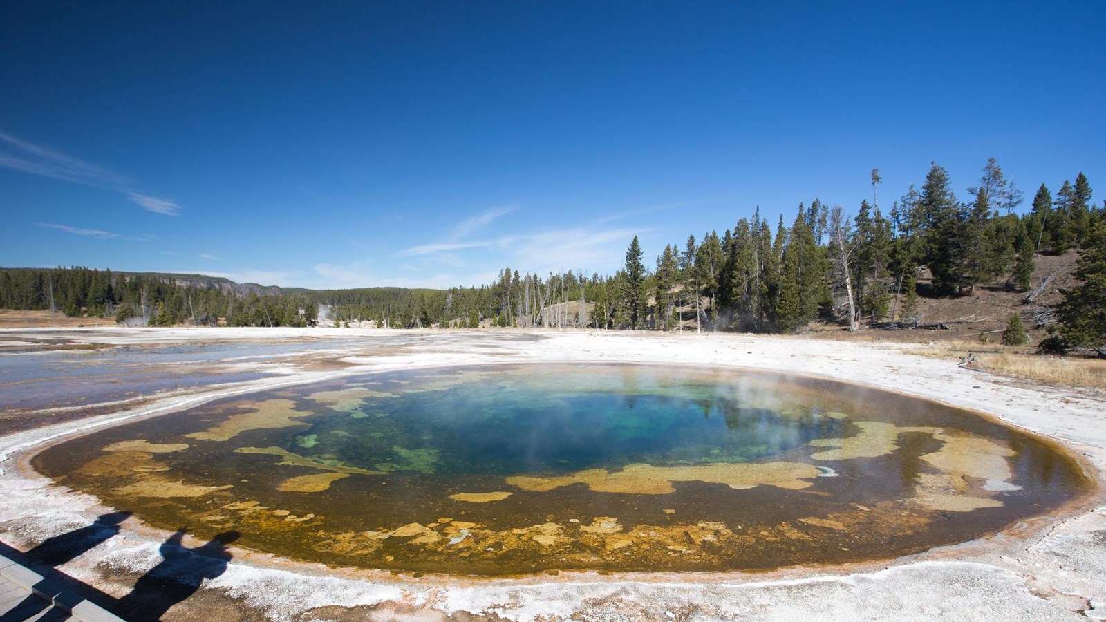 A hot spring with yellow-brown microbial mats around the edges and a turquoise blue center.