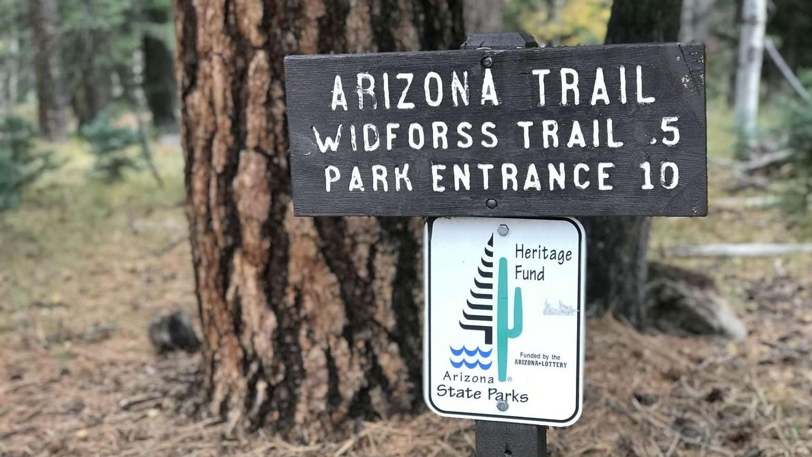 Wooden routed sign with white letters reads, Arizona Trail. Widforss Trail, .5; Park Entrance: 10.