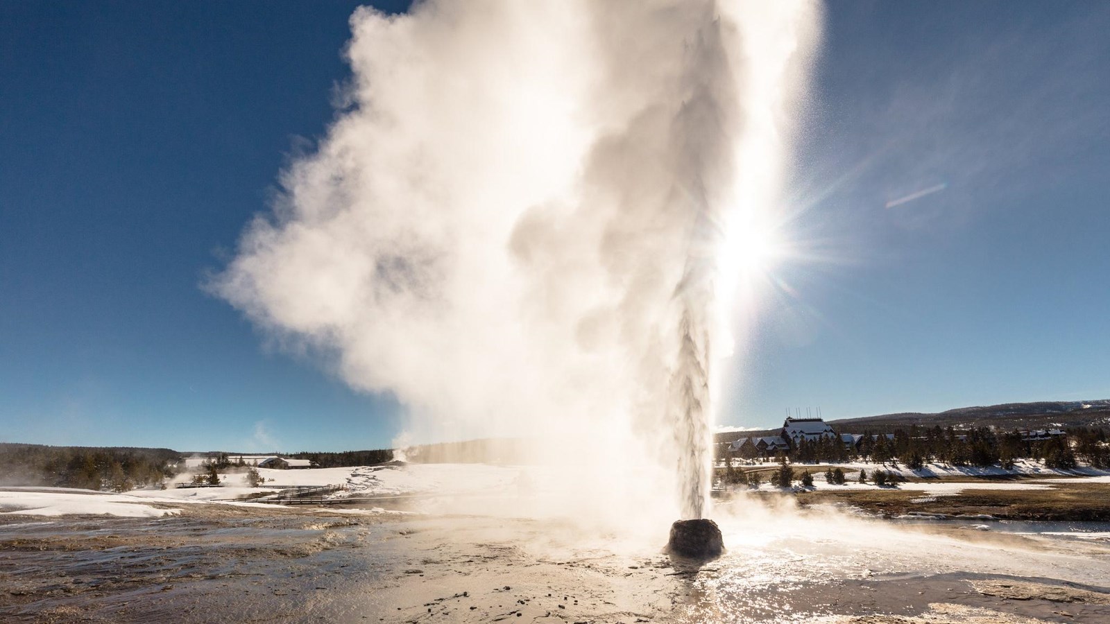 Sunlight illuminates a stream of water erupting from a geyser cone.