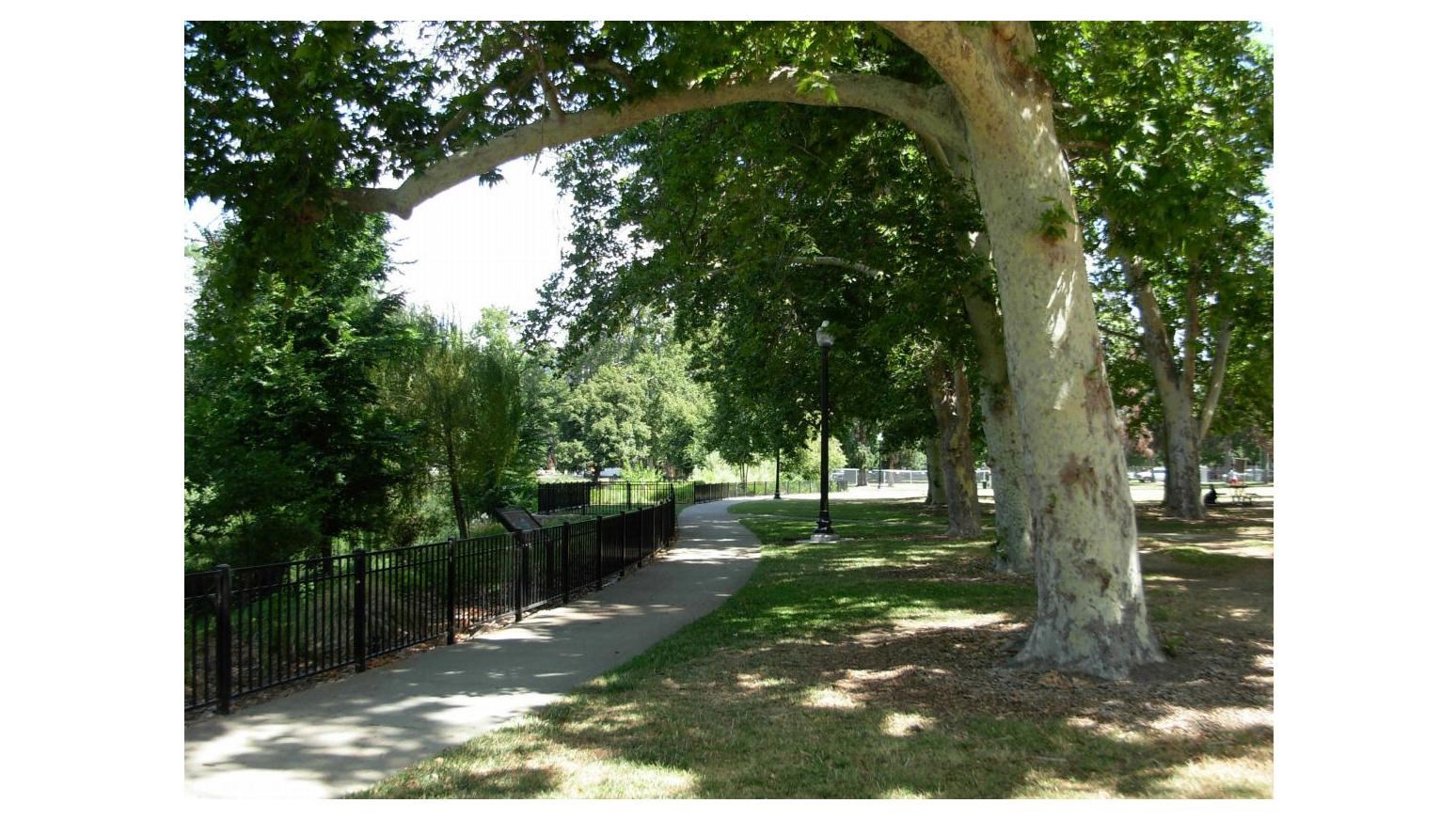 cement trail through a park with trees and a fence running along the path