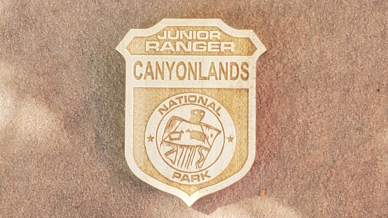 wooden badge with