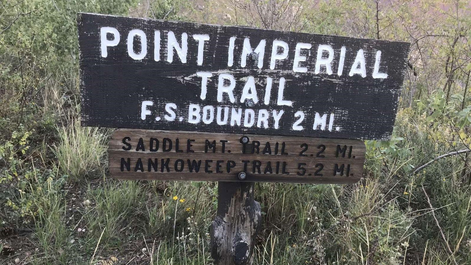 Wooden sign with white text reads, Point Imperial Trail. F.S. Boundary 2 mi. Saddle Mt Trail 2.2 mi.