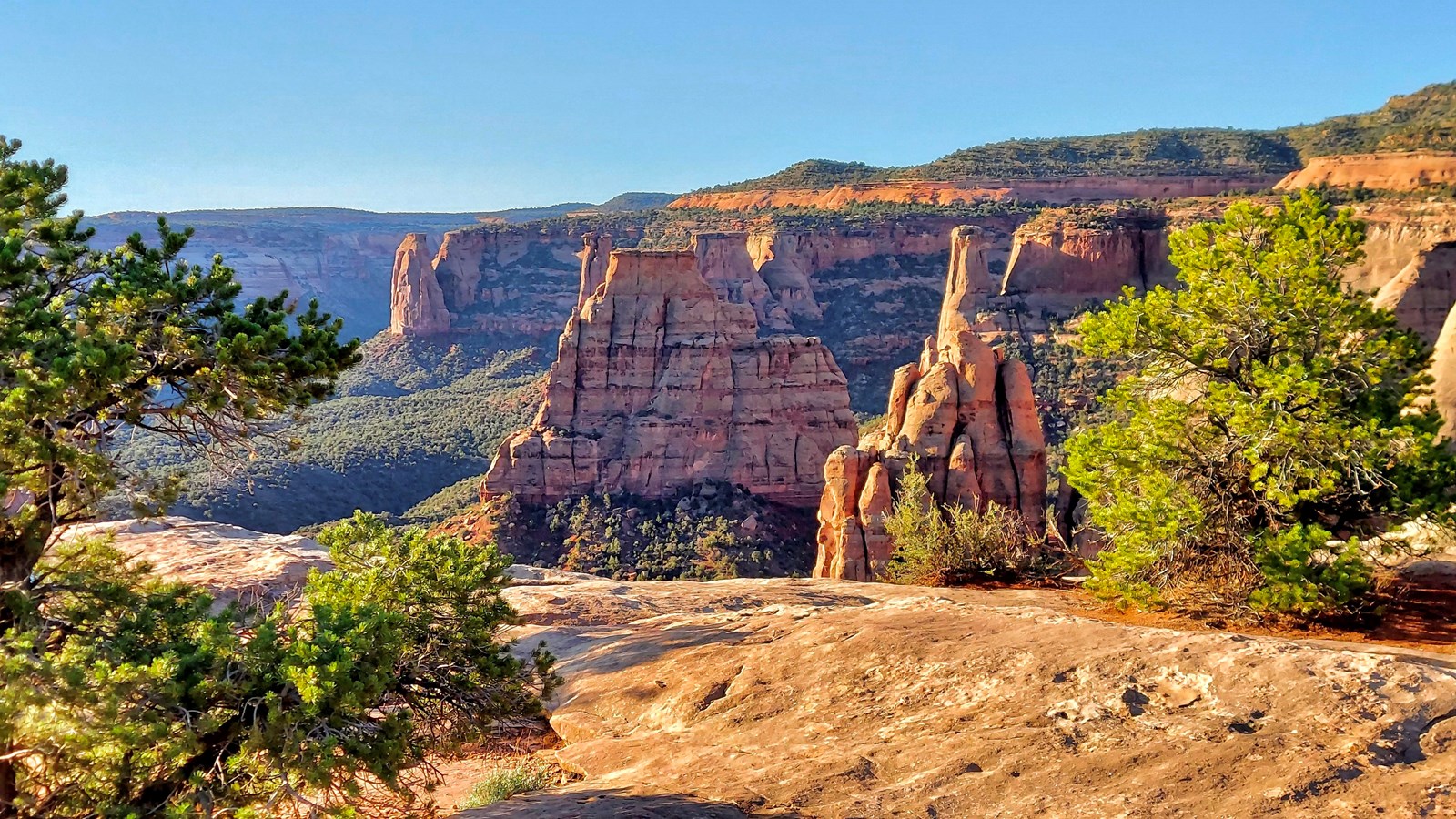 red-orange sandstone spires tower over forested canyons in early morning sunlight