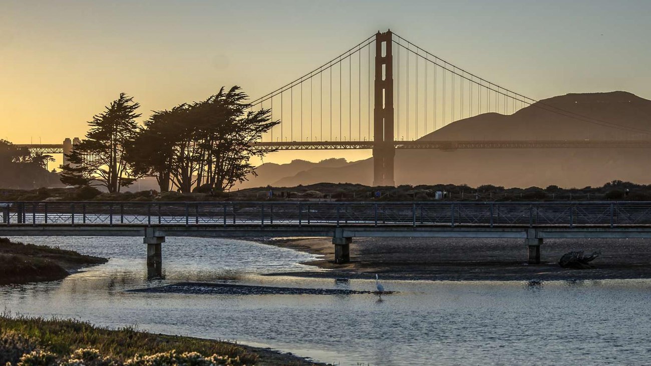 Photo at dusk of the marsh at Crissy Field with the Golden Gate Bridge in the background