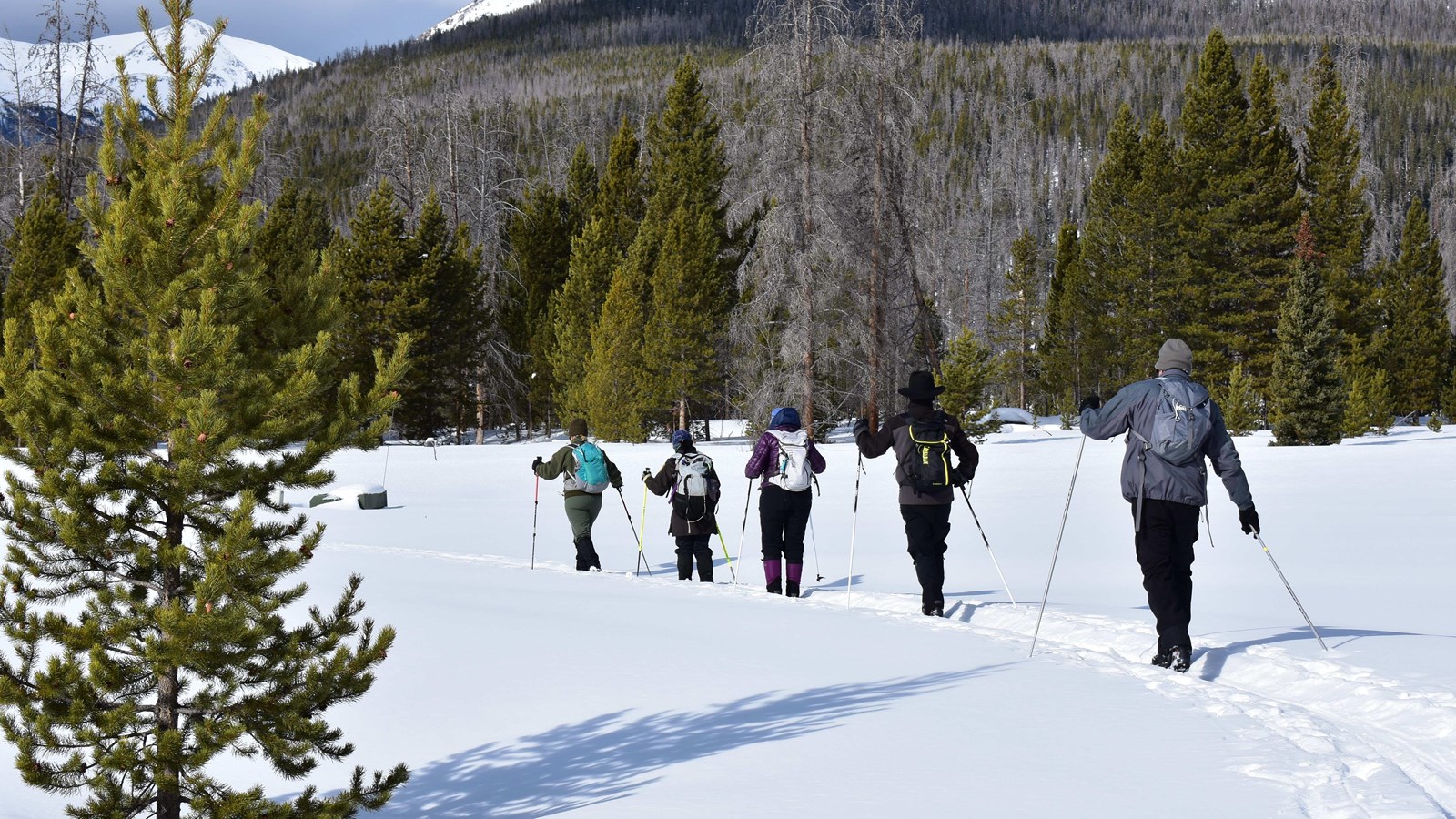 A group of people are cross-country skiing on the Bowen-Baker Trail