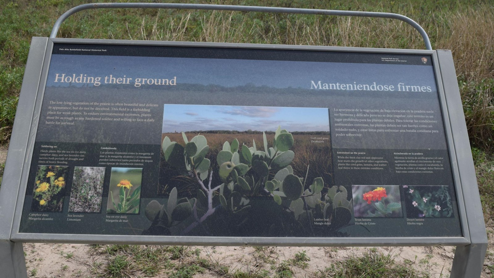 A low-profile cantilever wayside base in grey weathering steel for a 36”x 24” interpretation panel. 