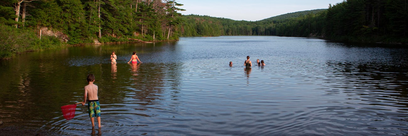 Visitors swimming in a lake with small beach area