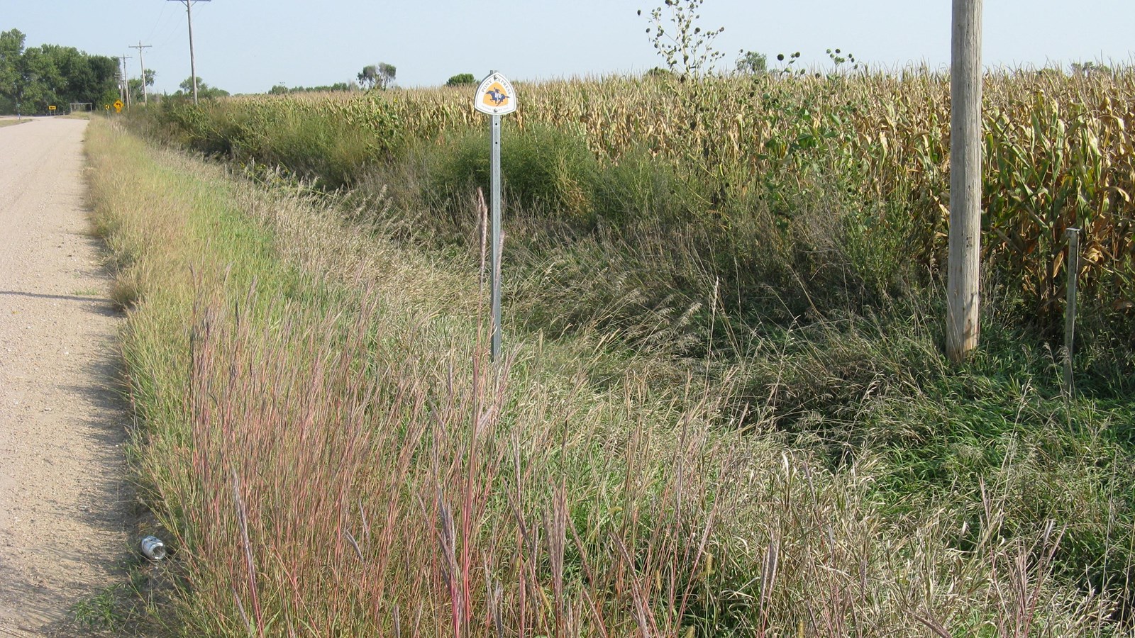 A silver post topped by a Pony Express National Historic Trail logo stands in tall grass.
