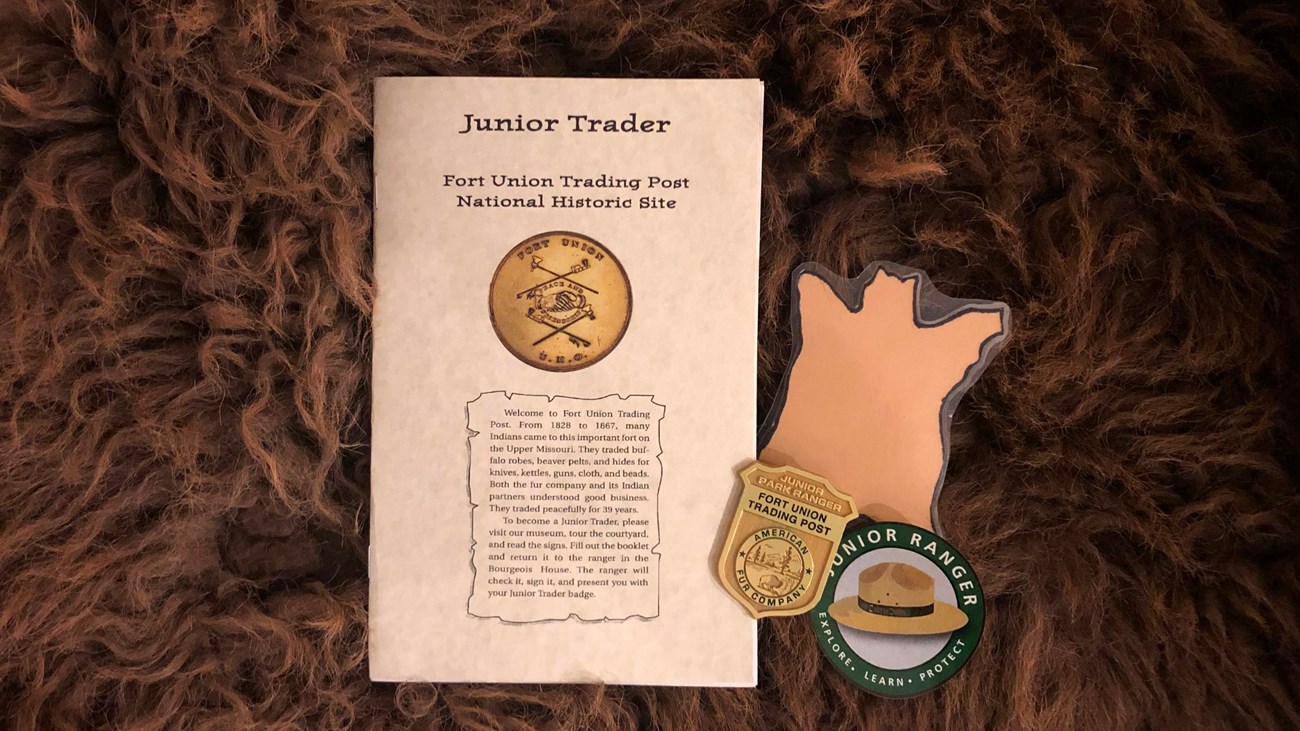 Beige booklet, gold shield badge, Buffalo outline and sticker with ranger had laying on buffalo fur.