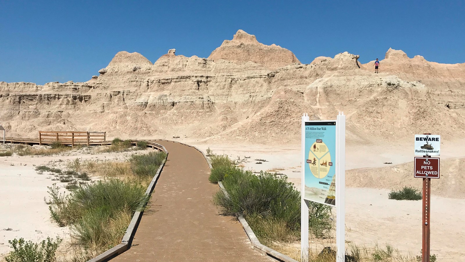 Top 70+ imagen fossil exhibit trailhead