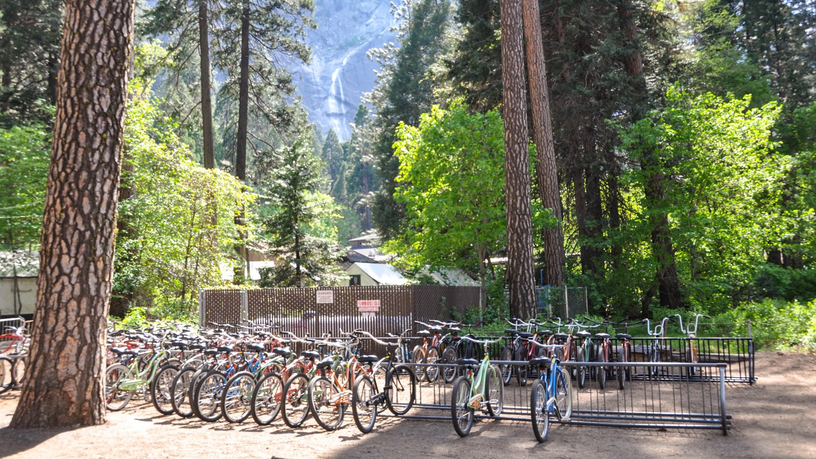 Bicycles lined up at the Curry Village bike stand