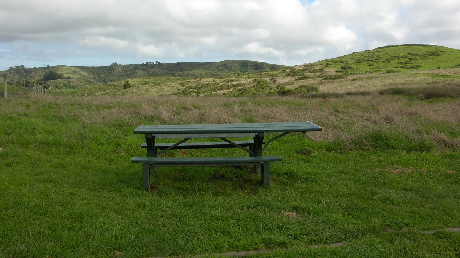 A green picnic table surrounded by grasslands.