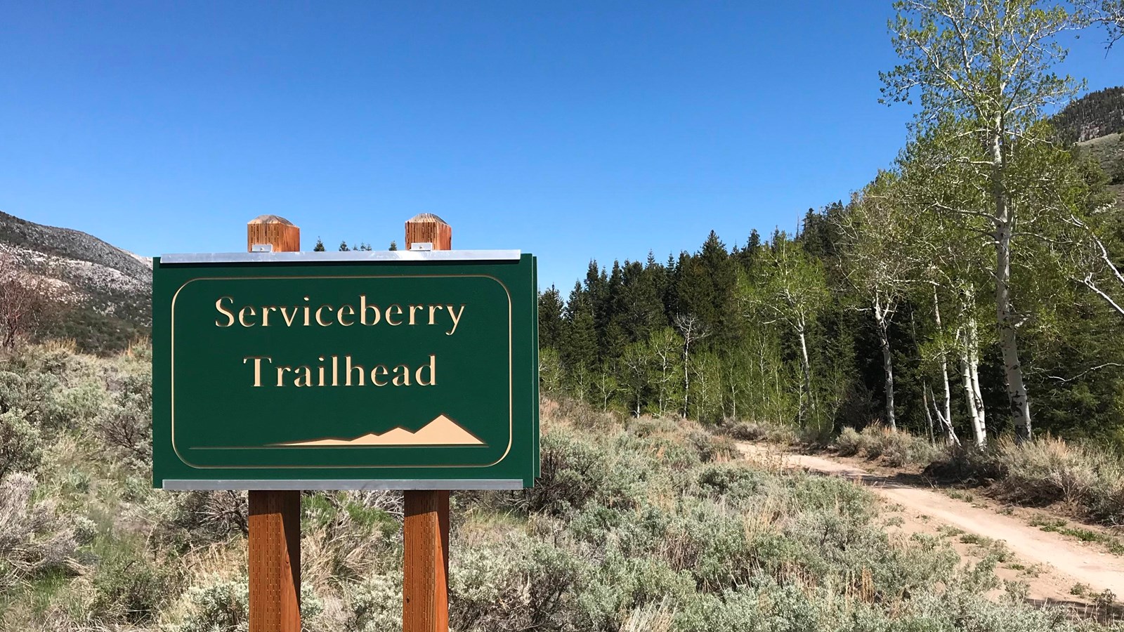 Green trailhead sign with sage colored brush surrounding it.