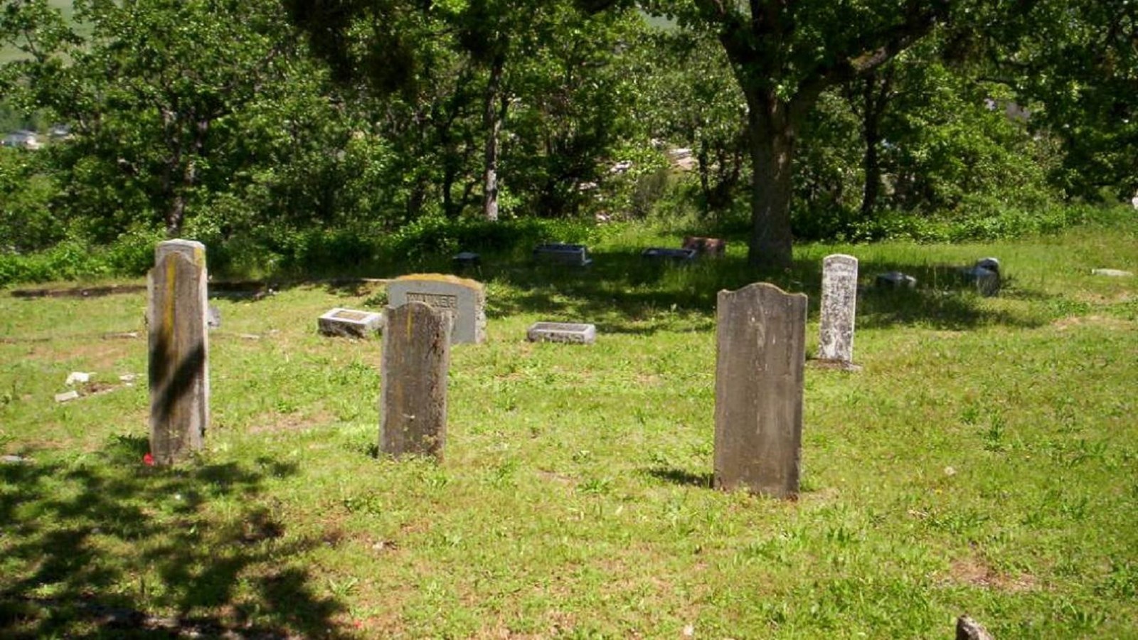 Cemetery with headstones.