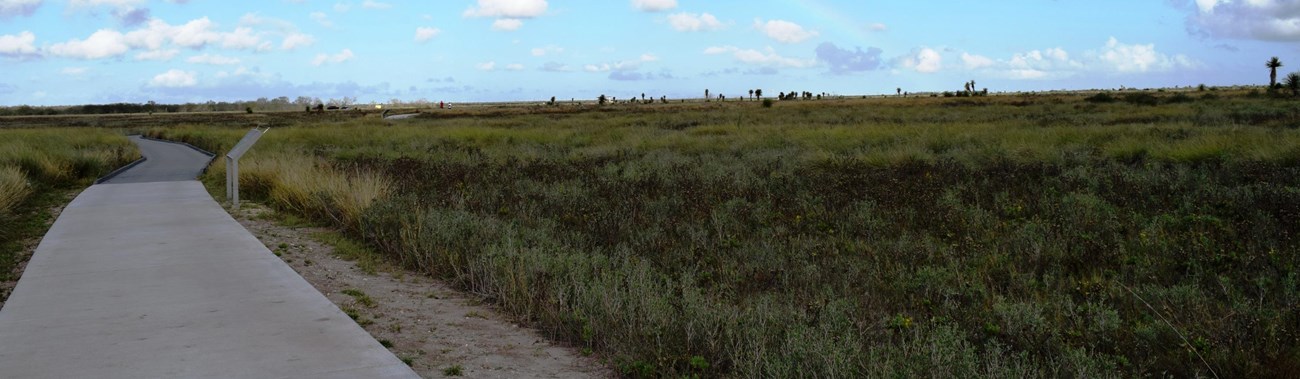 Paved trail leading into the green coastal prairie