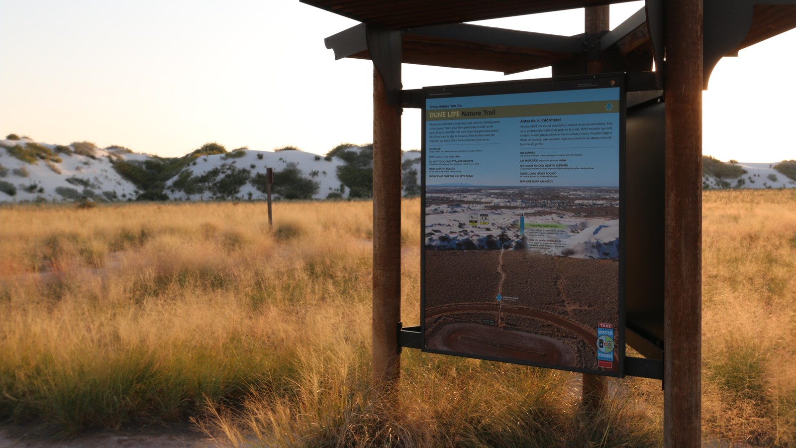 The Dune Life Nature Trail kiosk panel at sunset.