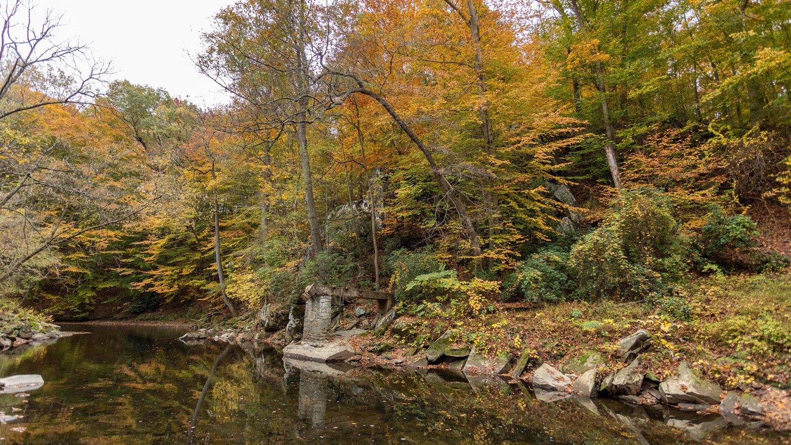 A river surrounded by green and yellow trees.