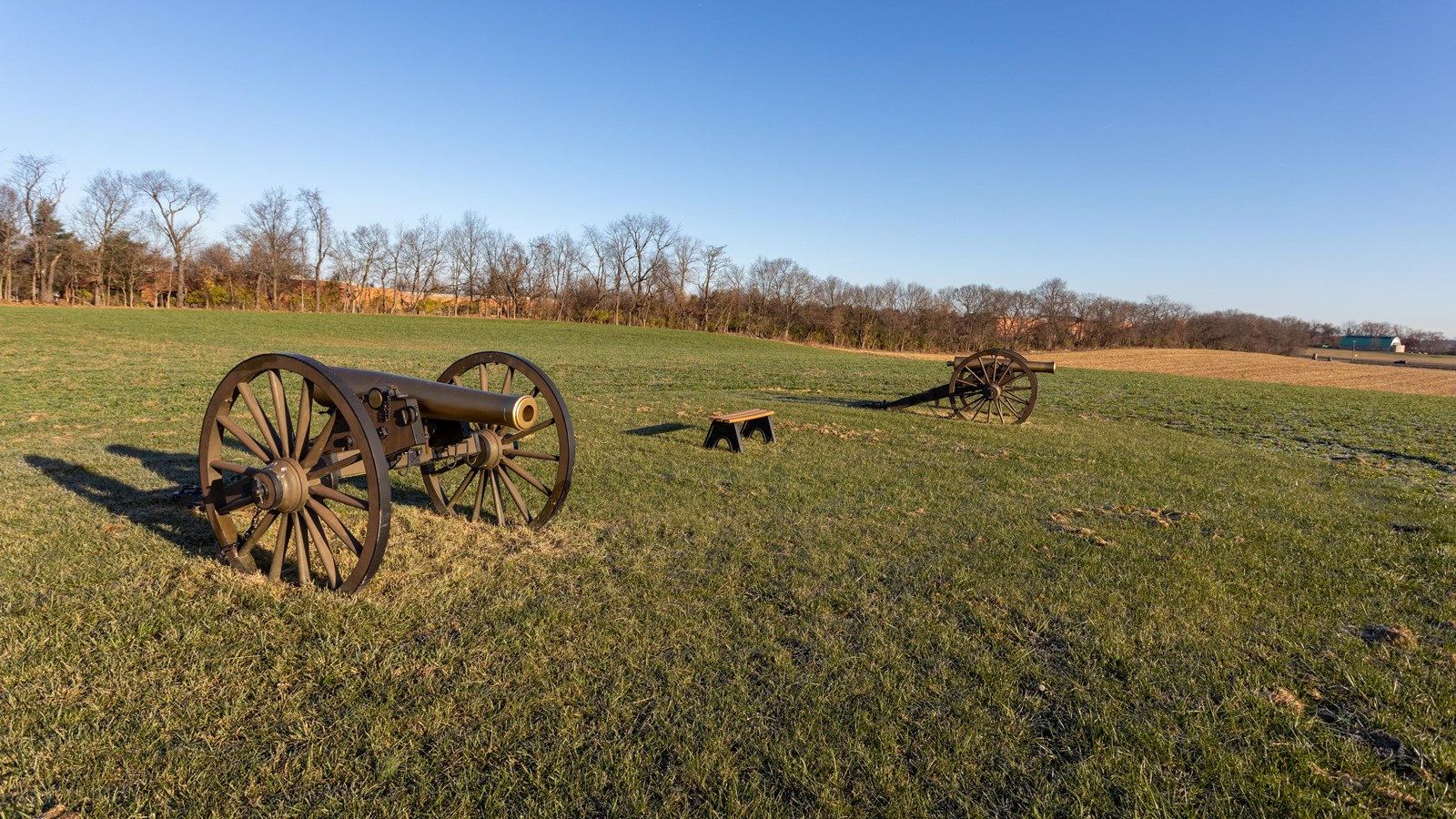 Two canons on a grassy field. 