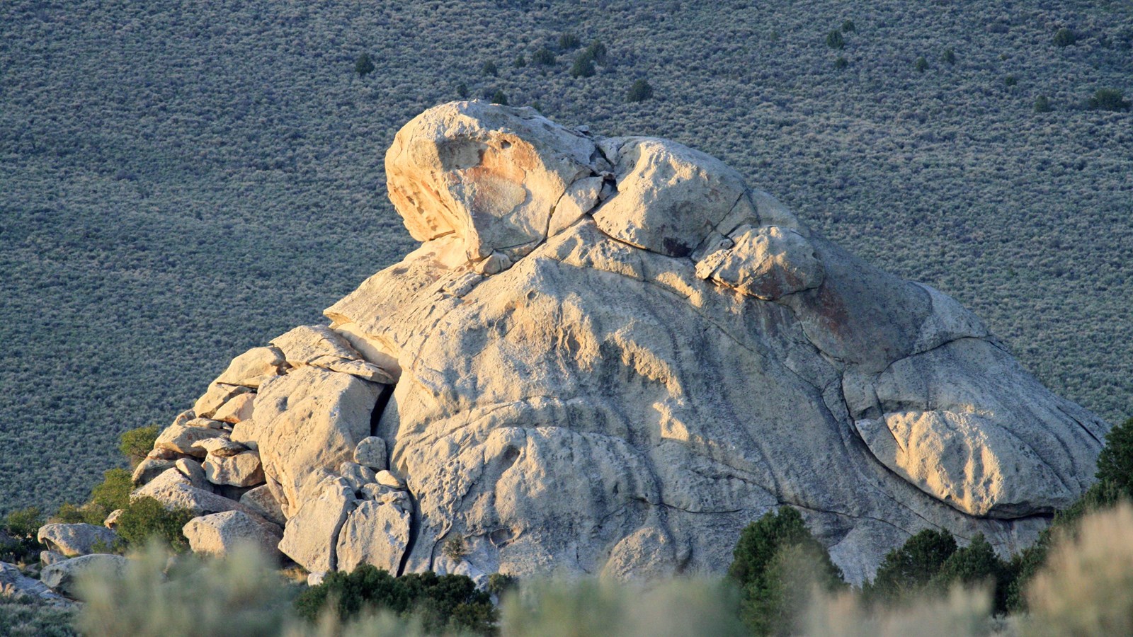 Large granite dome-like formation highlighted by golden sunlight.