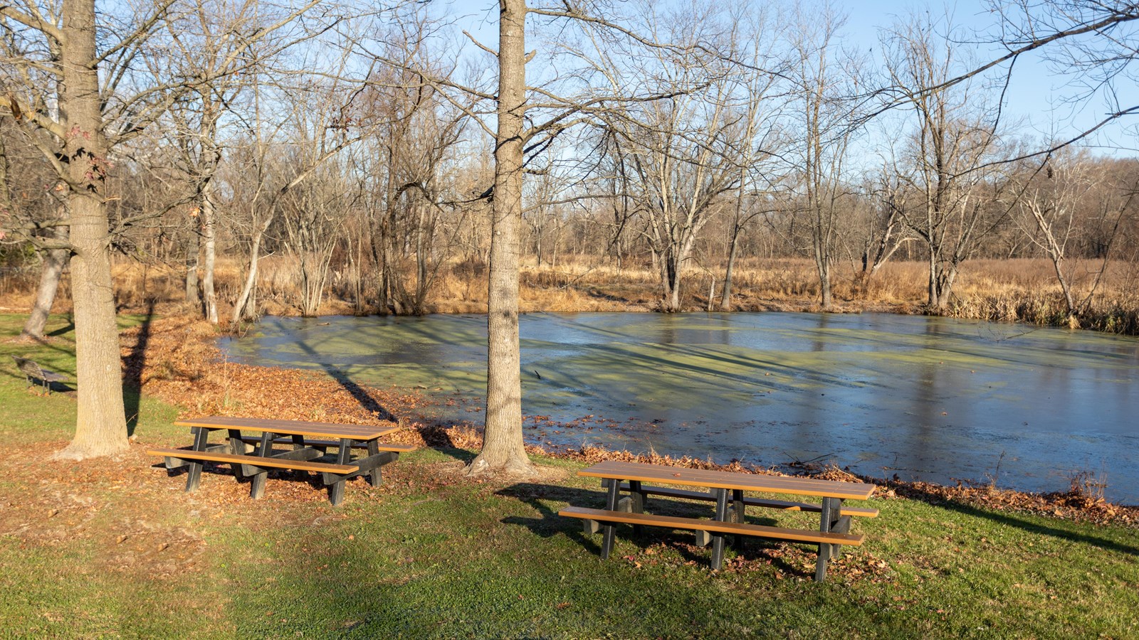 A picnic area next to a pond
